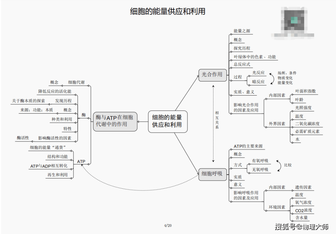 龙凤呈祥 第5页