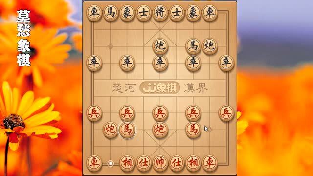 2024新澳兔费资料琴棋,探索新澳兔费资料琴棋，未来的学习新纪元