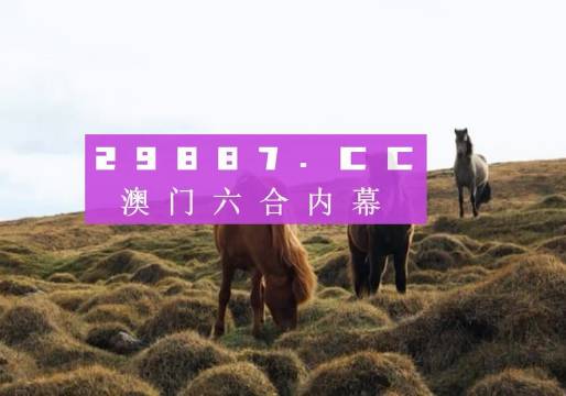 快马加鞭 第6页