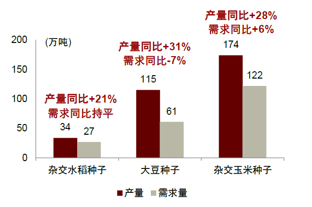 新澳2024年精准资料,新澳2024年精准资料，未来展望与深度解析