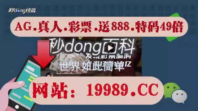 2024澳门天天开好彩资料,揭秘澳门天天开好彩背后的秘密资料