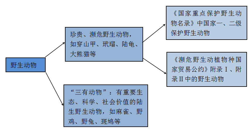 灯红酒绿 第3页