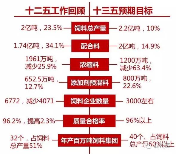 2025新澳天天彩免费资料,探索未来，2025新澳天天彩免费资料